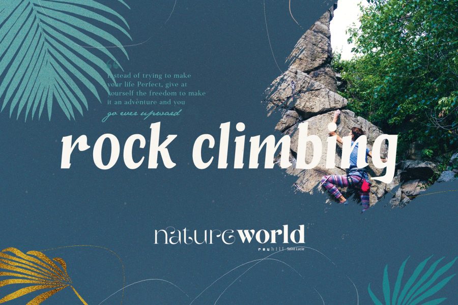 Half-Day Outdoor Rock Climbing Session